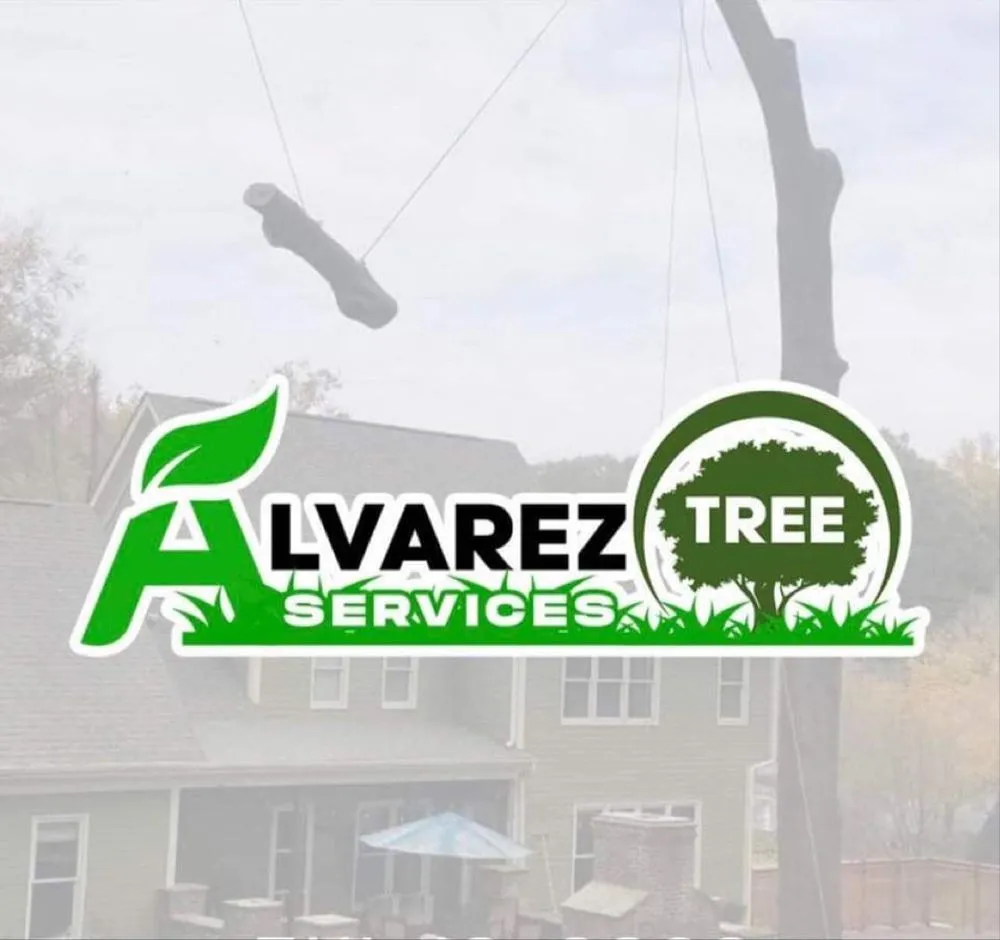 Custom yard cleanup service for residential properties across Marietta, GA - Alvarez Tree Services