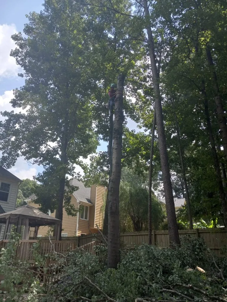 Affordable landscaping services for outdoor upgrades in Marietta, GA by Alvarez Tree Services