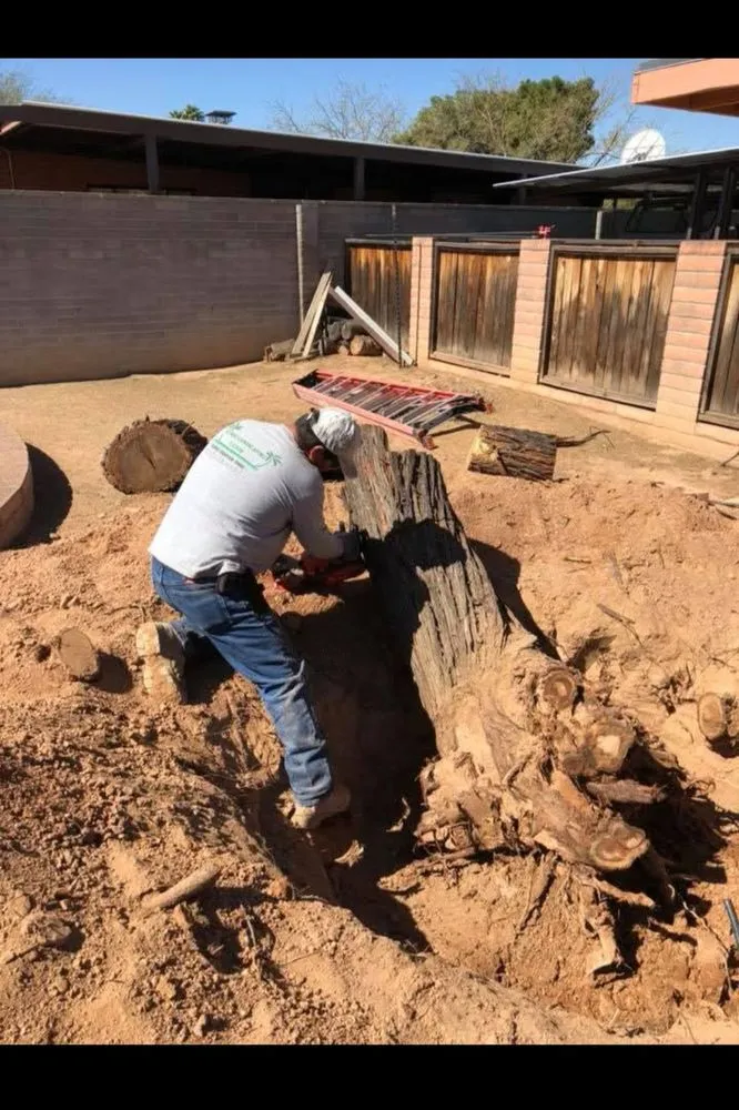 Trusted garden landscaping with custom design across Tucson, AZ - Alvaro Landscaping