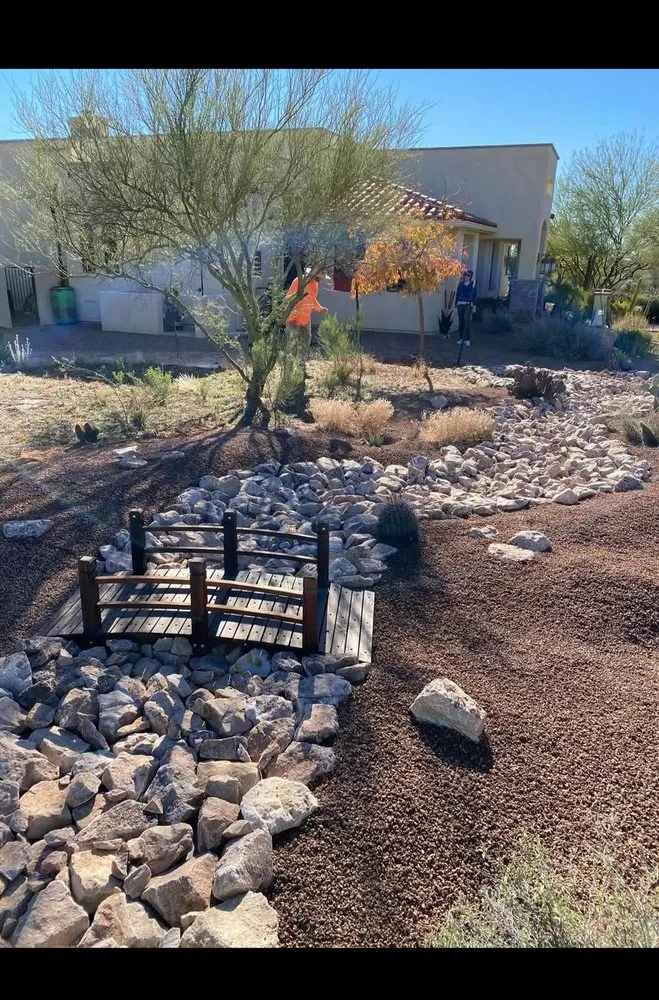 Top-rated yard cleanup service experts serving Tucson, AZ - Alvaro Landscaping
