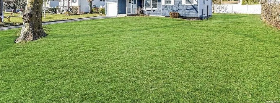 Trusted yard maintenance in Brentwood, NY by Alvaro Santos