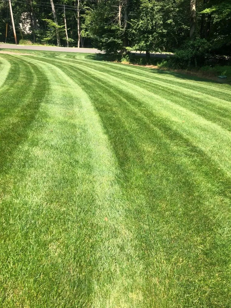 Top-rated landscaping services in Brentwood, NY by Alvaro Santos