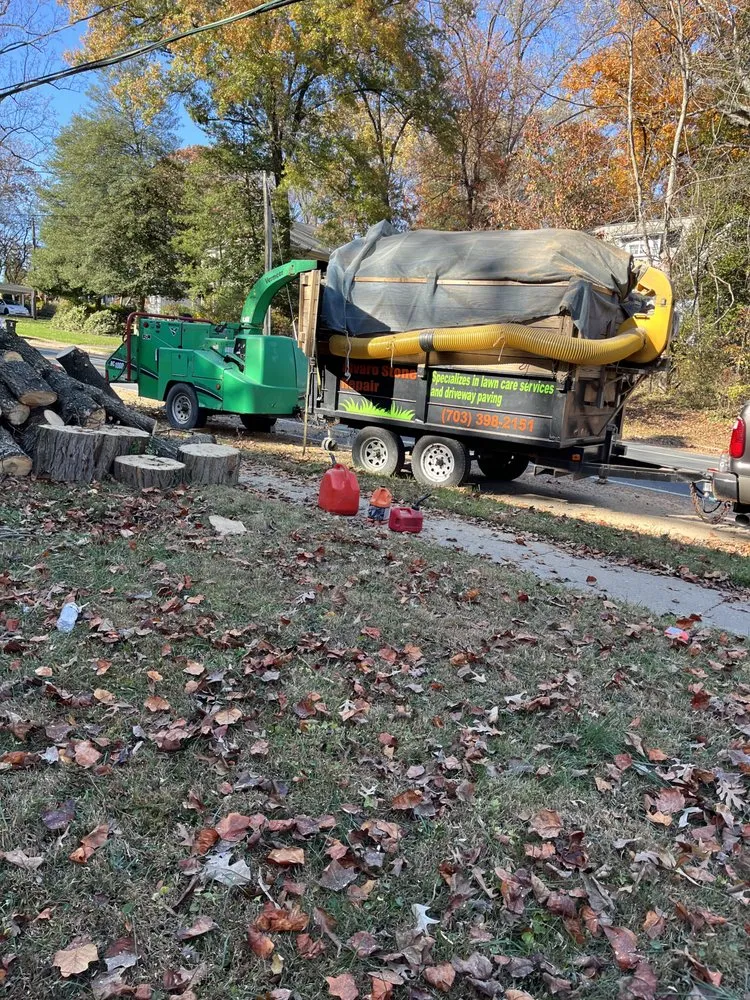 Professional residential landscaping in Alexandria, VA by Alvaro Stone Repair And Lawncare