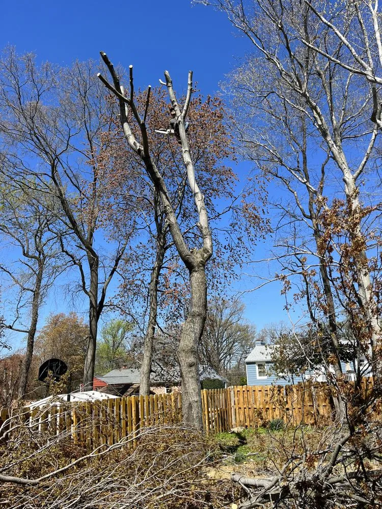 Expert lawn mowing service in Alexandria, VA by Alvaro Stone Repair And Lawncare