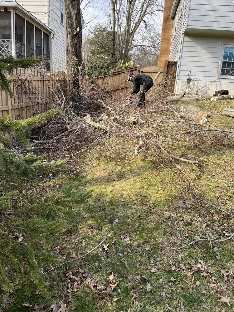 Custom landscape installation in Alexandria, VA - Alvaro Stone Repair And Lawncare