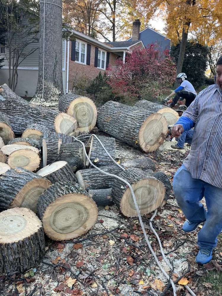 Professional landscape design for residential properties in Alexandria, VA by Alvaro Stone Repair And Lawncare