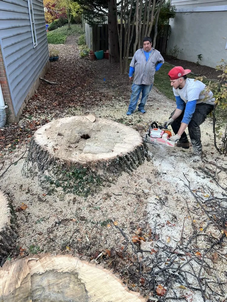 Top-rated residential landscaping in Alexandria, VA by Alvaro Stone Repair And Lawncare