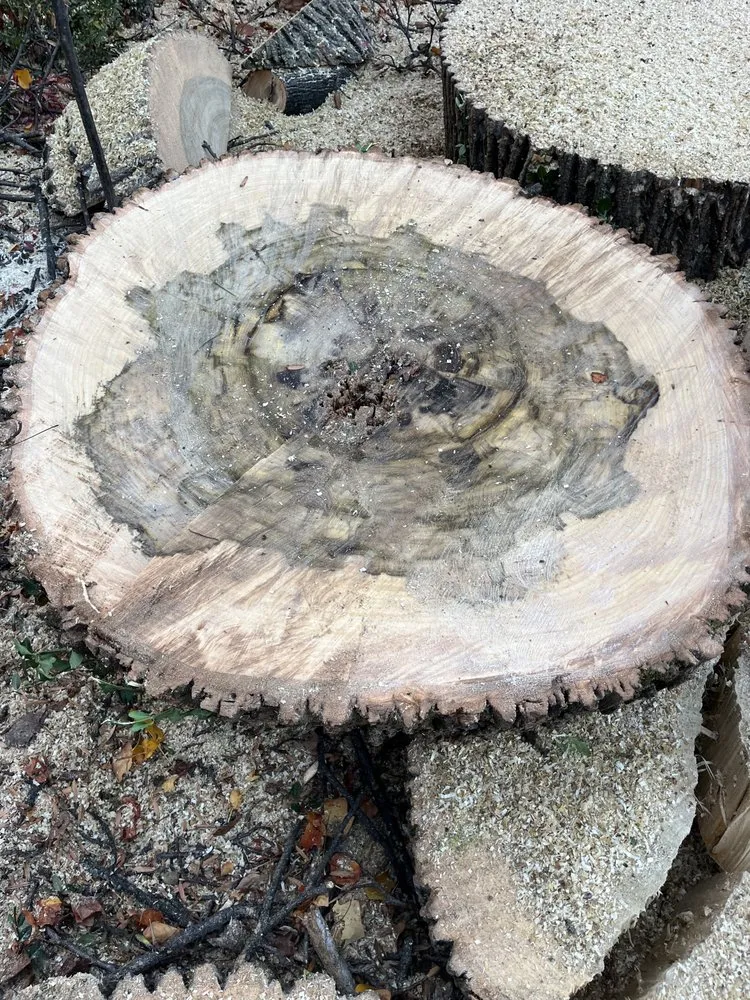 Local garden landscaping in Alexandria, VA - Alvaro Stone Repair And Lawncare