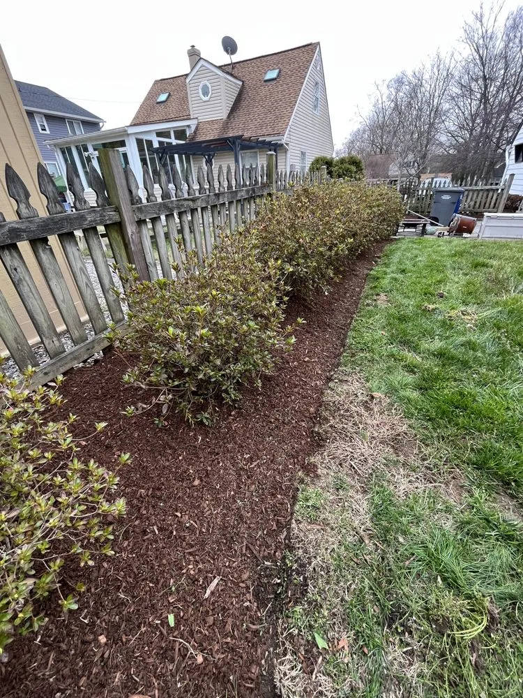 Affordable lawn care service experts serving Alexandria, VA - Alvaro Stone Repair And Lawncare