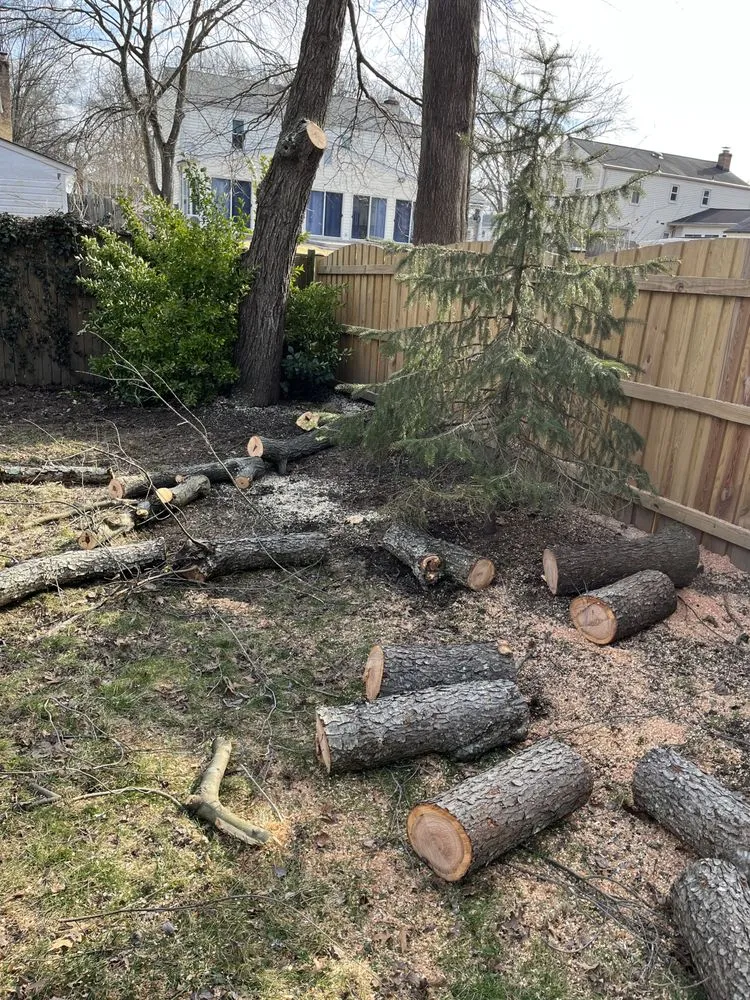 Affordable yard maintenance in Alexandria, VA by Alvaro Stone Repair And Lawncare