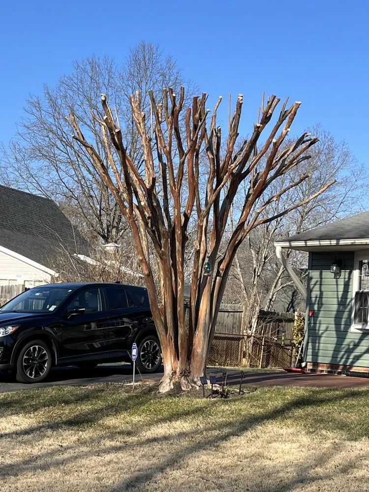 Top-rated landscaping services for beautiful yards across Alexandria, VA - Alvaro Stone Repair And Lawncare