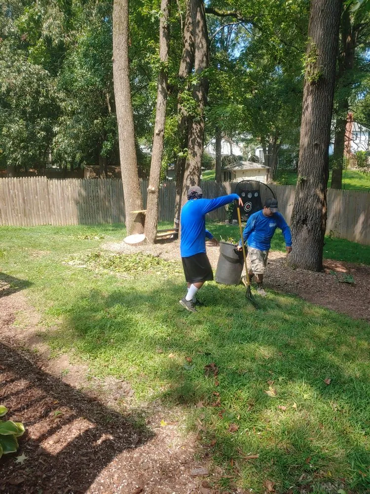 Expert landscape design in Alexandria, VA - Alvaro Stone Repair And Lawncare