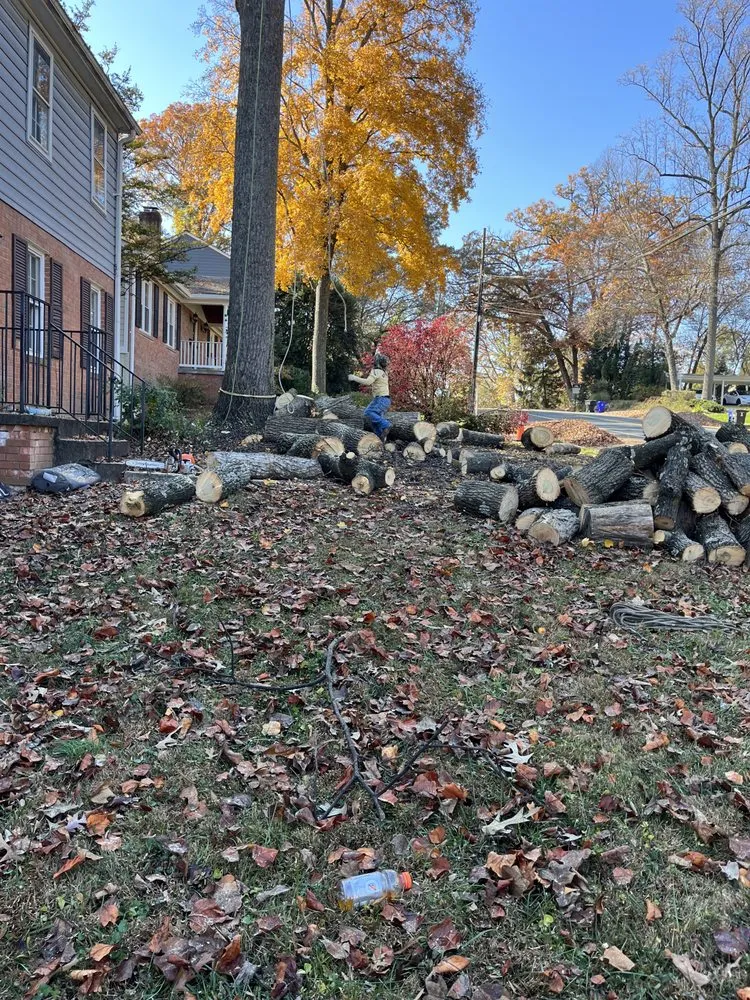 Expert lawn mowing service in Alexandria, VA - Alvaro Stone Repair And Lawncare