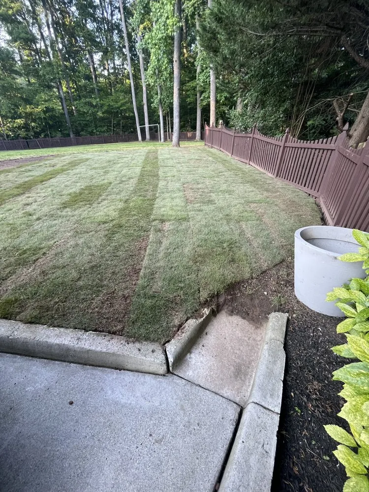 Affordable residential landscaping in Alexandria, VA - Alvaro Stone Repair And Lawncare