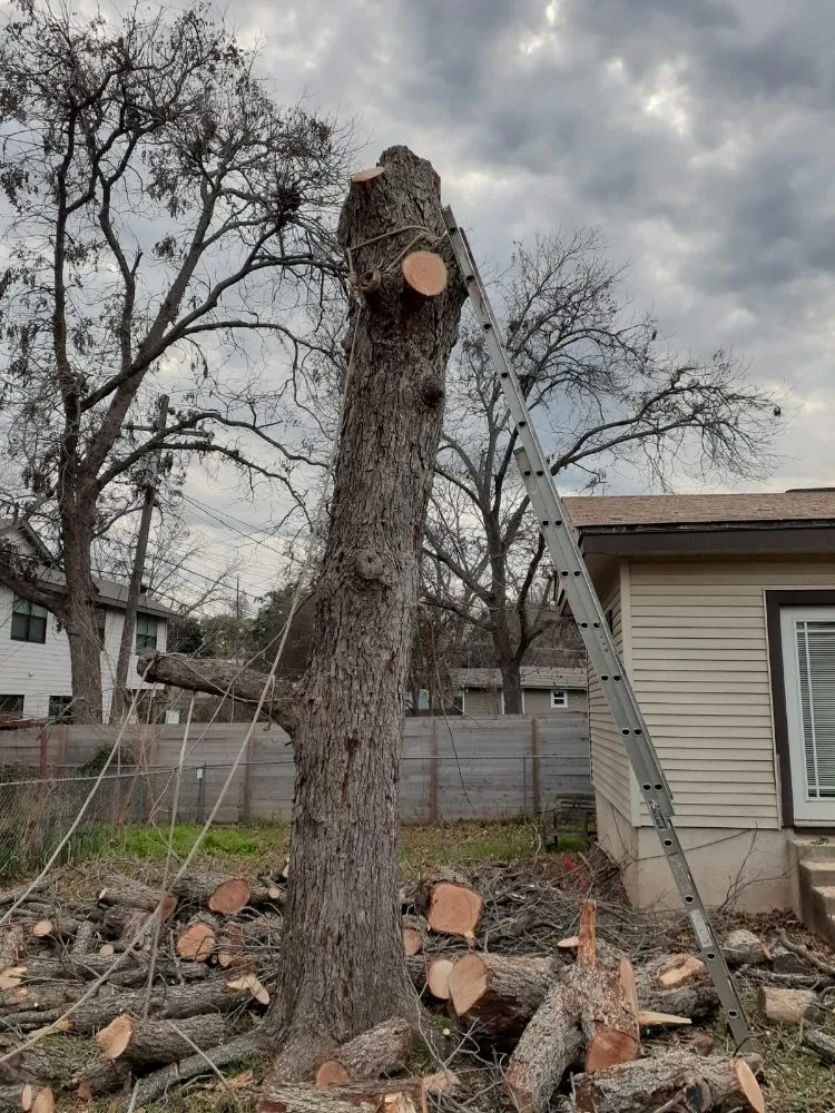 Local residential landscaping for outdoor upgrades across Austin, TX - Alvaro's Landscaping and Tree Services