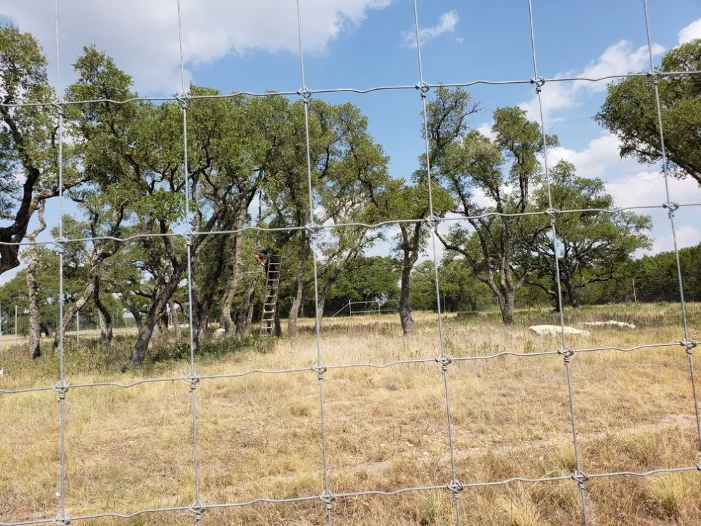 Reliable landscape installation near you across Austin, TX - Alvaro's Landscaping and Tree Services