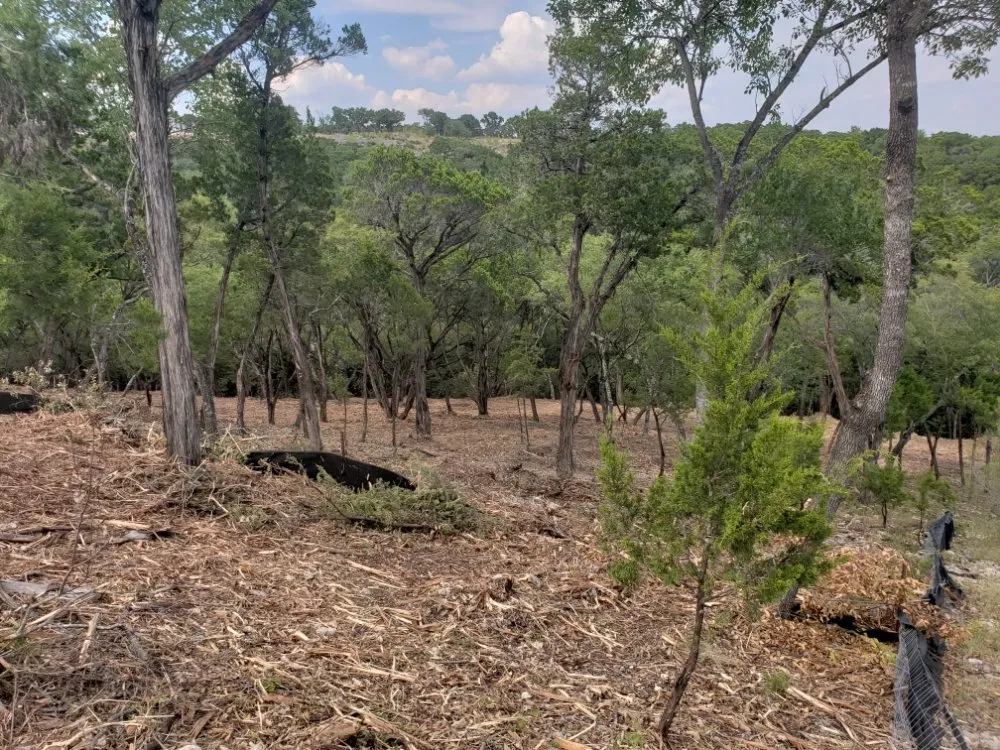 Reliable residential landscaping for year-round maintenance across Austin, TX - Alvaro's Landscaping and Tree Services