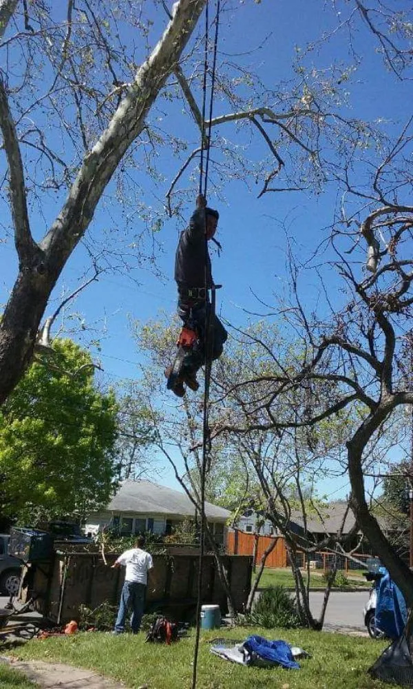 Custom garden landscaping for beautiful yards across Austin, TX - Alvaro's Landscaping and Tree Services