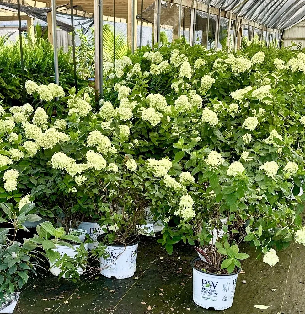 Reliable landscape design for year-round maintenance in Alvaton, KY by Alvaton Nursery & Landscape