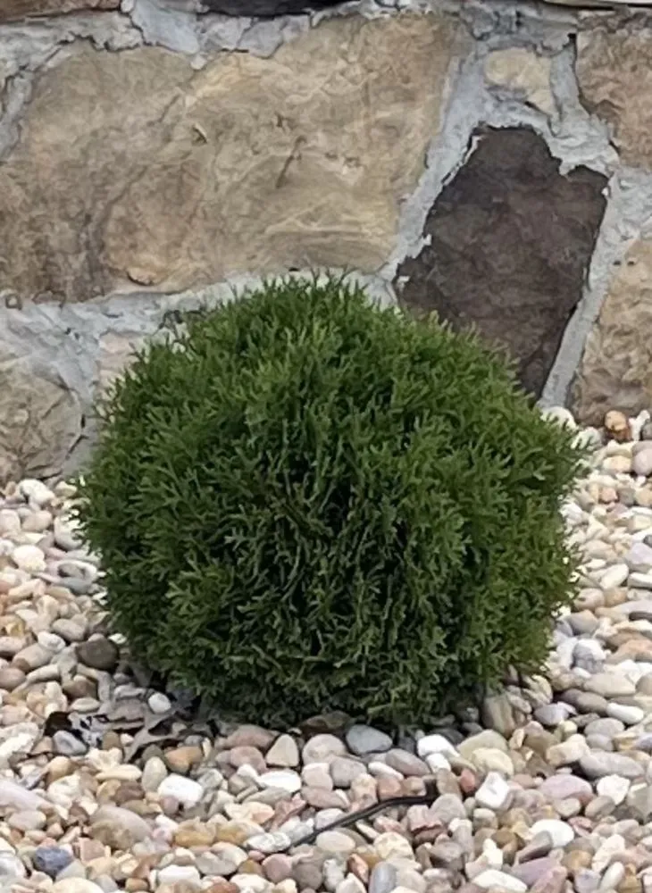 Professional yard maintenance for beautiful yards in Alvaton, KY by Alvaton Nursery & Landscape