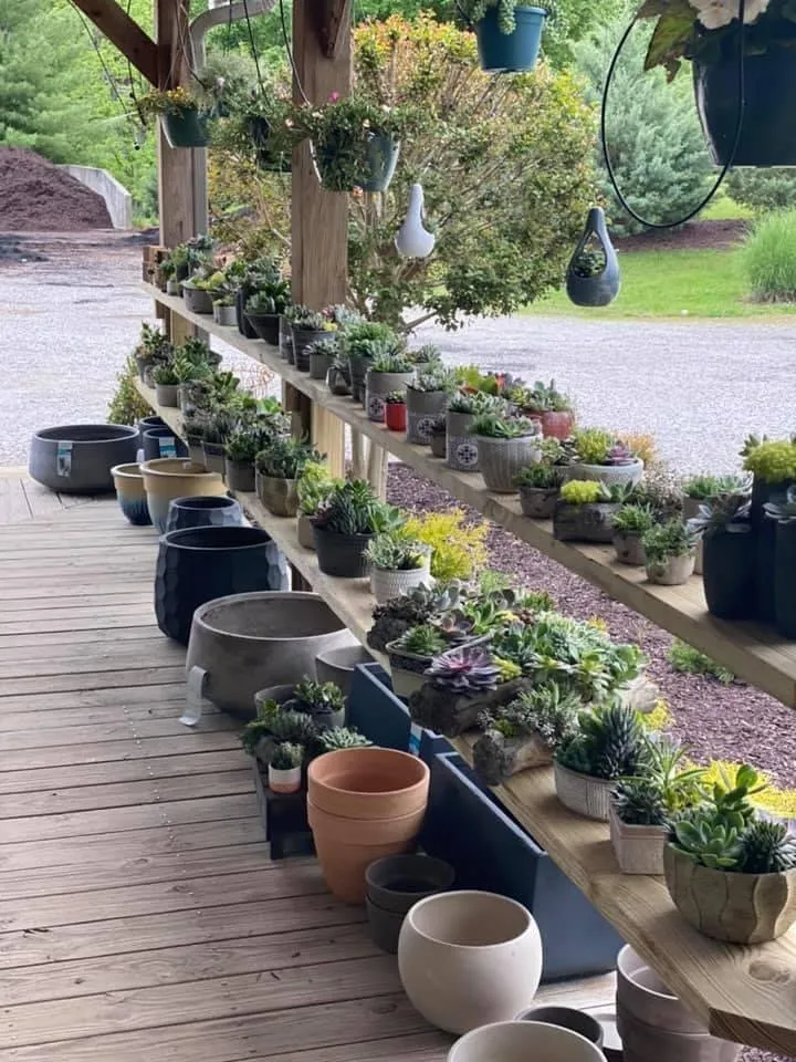 Top-rated landscape design for year-round maintenance in Alvaton, KY by Alvaton Nursery & Landscape