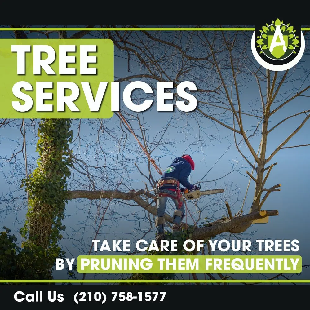 Custom yard cleanup service in Boerne, TX - Alveno's Landscaping and Tree Trimming Service
