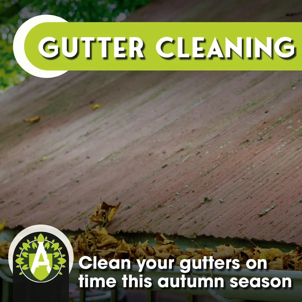 Trusted lawn mowing service in Boerne, TX by Alveno's Landscaping and Tree Trimming Service