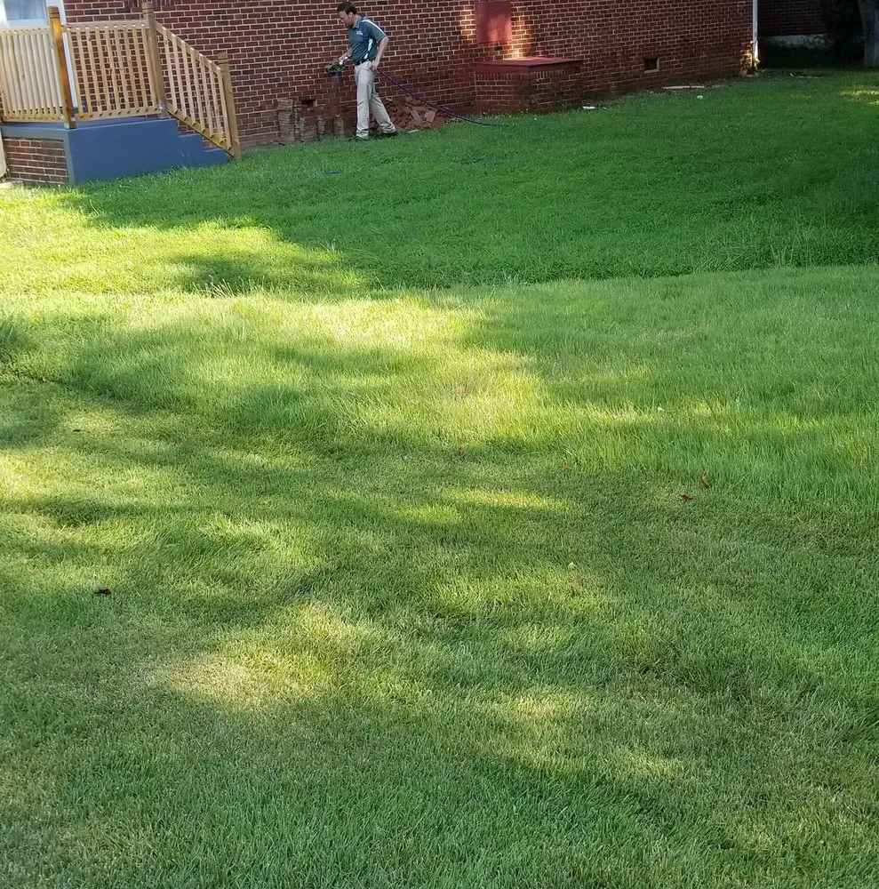 Custom yard maintenance for residential properties in Alexandria, VA by Alves Landscaping