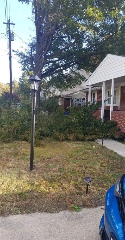 Custom landscaping services with custom design across Alexandria, VA - Alves Landscaping