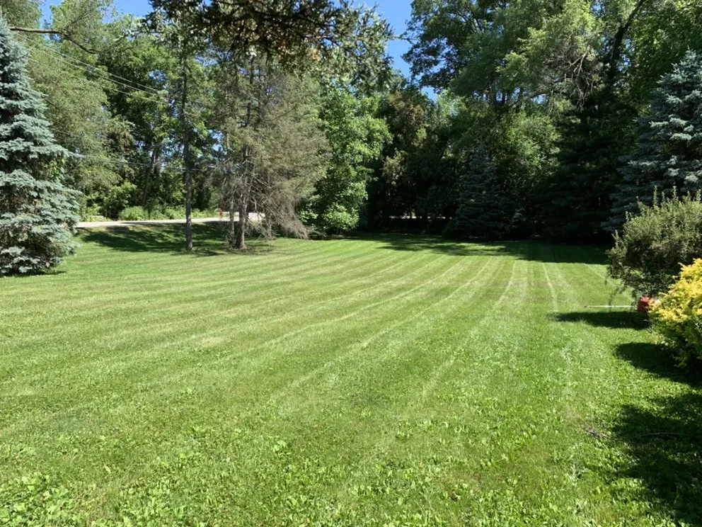 Top-rated landscaping services for outdoor upgrades across West Chicago, IL - Alvez Seasons Landscaping