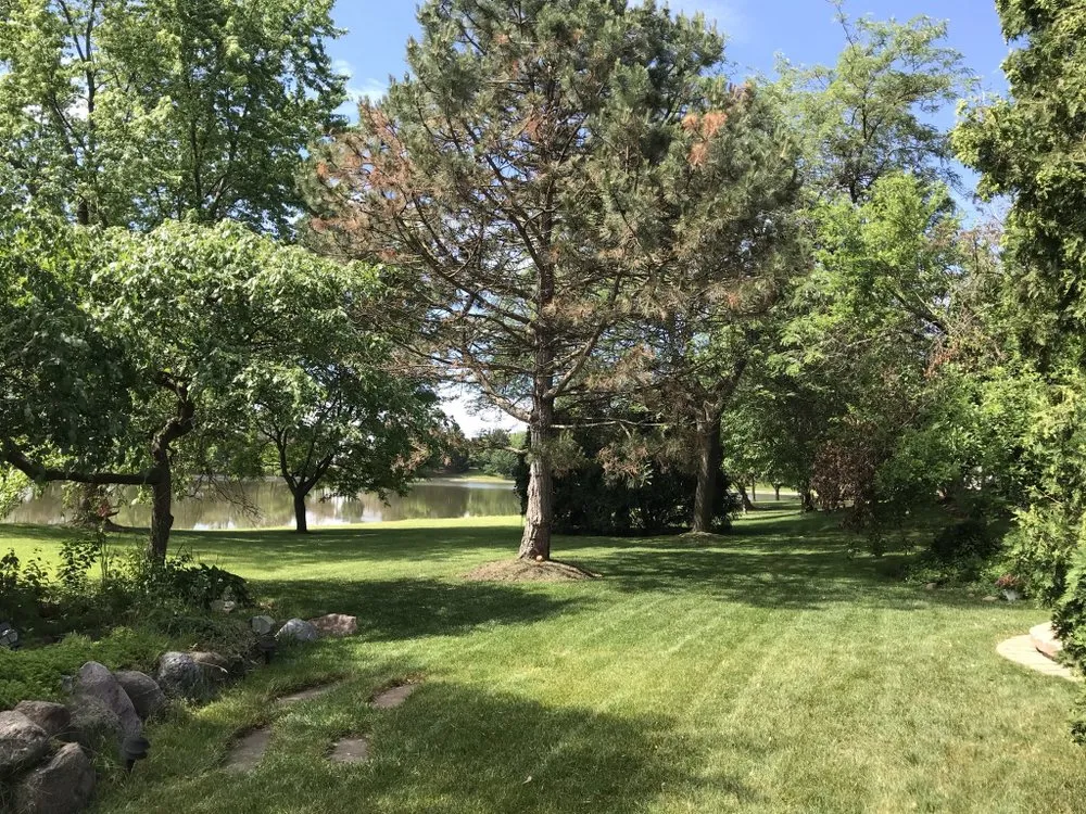 Expert landscape design in West Chicago, IL - Alvez Seasons Landscaping