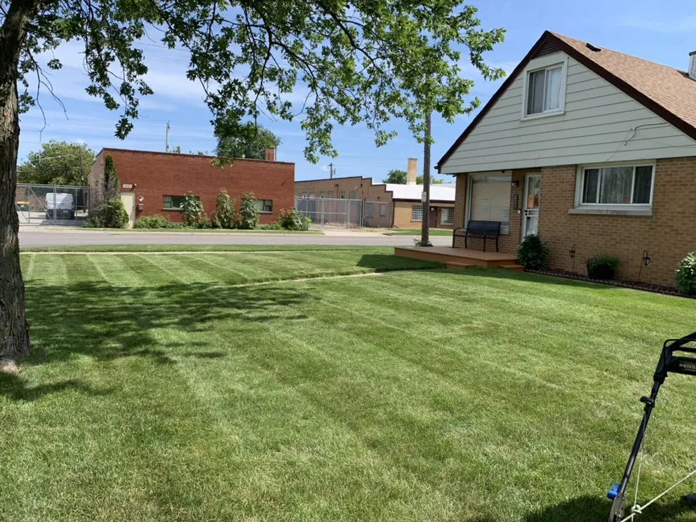 Affordable yard cleanup service experts serving West Chicago, IL - Alvez Seasons Landscaping