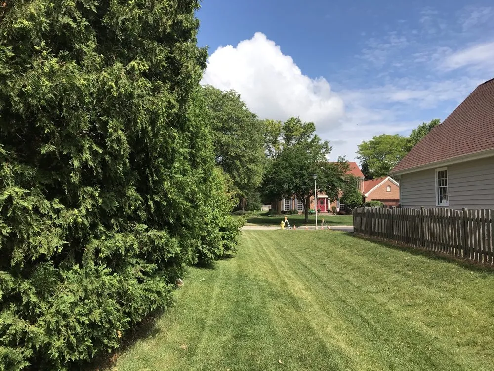 Top-rated landscape installation for homes across West Chicago, IL - Alvez Seasons Landscaping