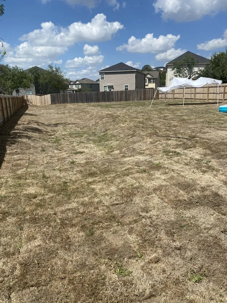 Trusted residential landscaping experts serving San Antonio, TX - Alvizo Lawn & Landscaping