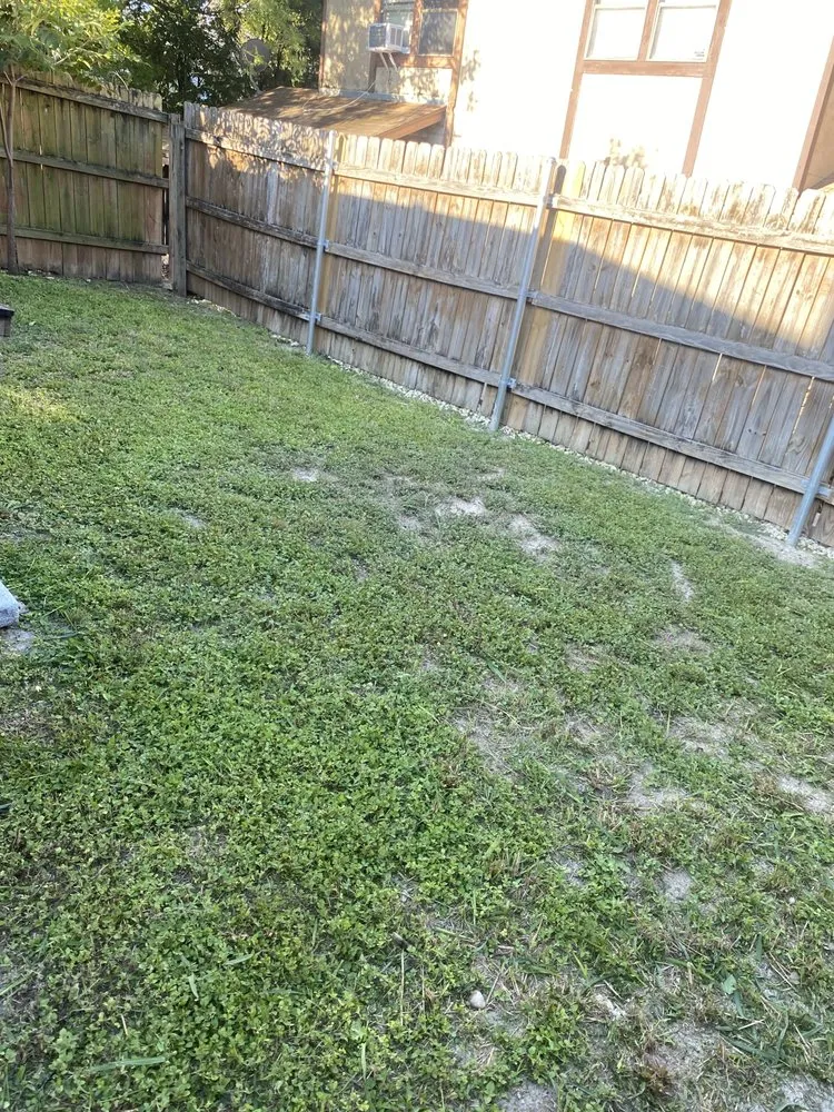 Affordable residential landscaping in San Antonio, TX by Alvizo Lawn & Landscaping