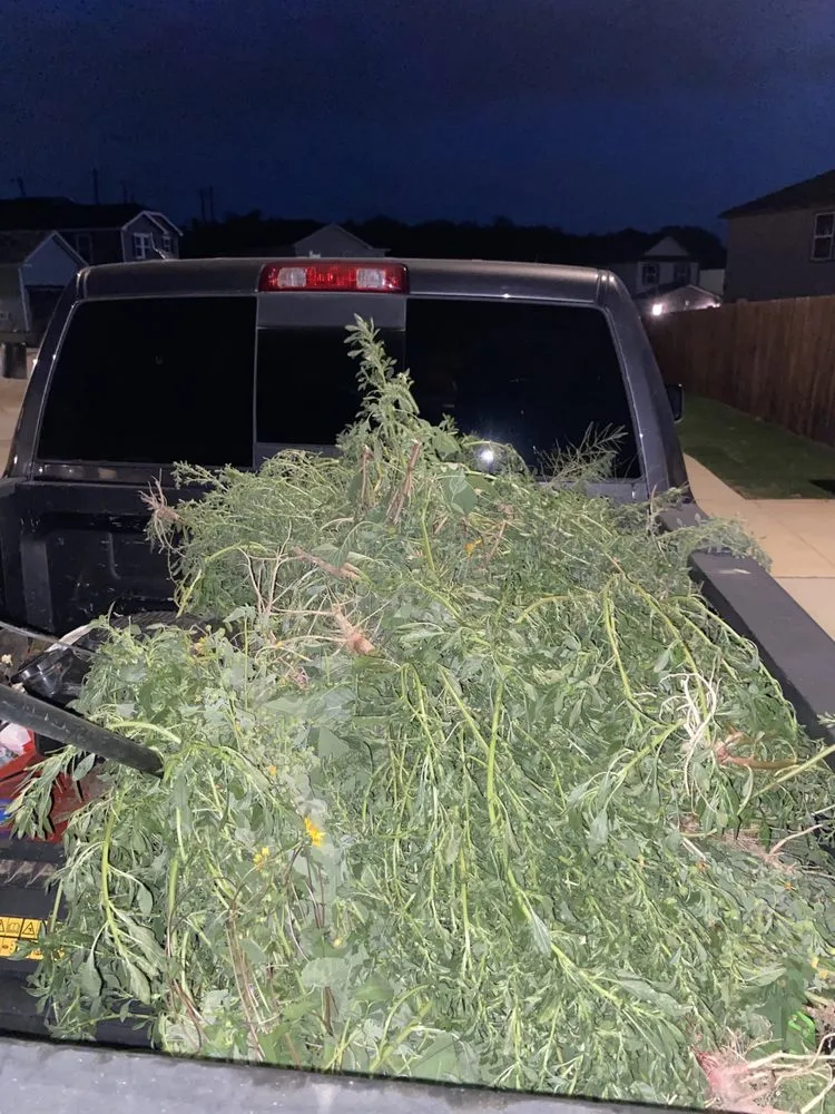 Reliable yard maintenance for residential properties in San Antonio, TX by Alvizo Lawn & Landscaping