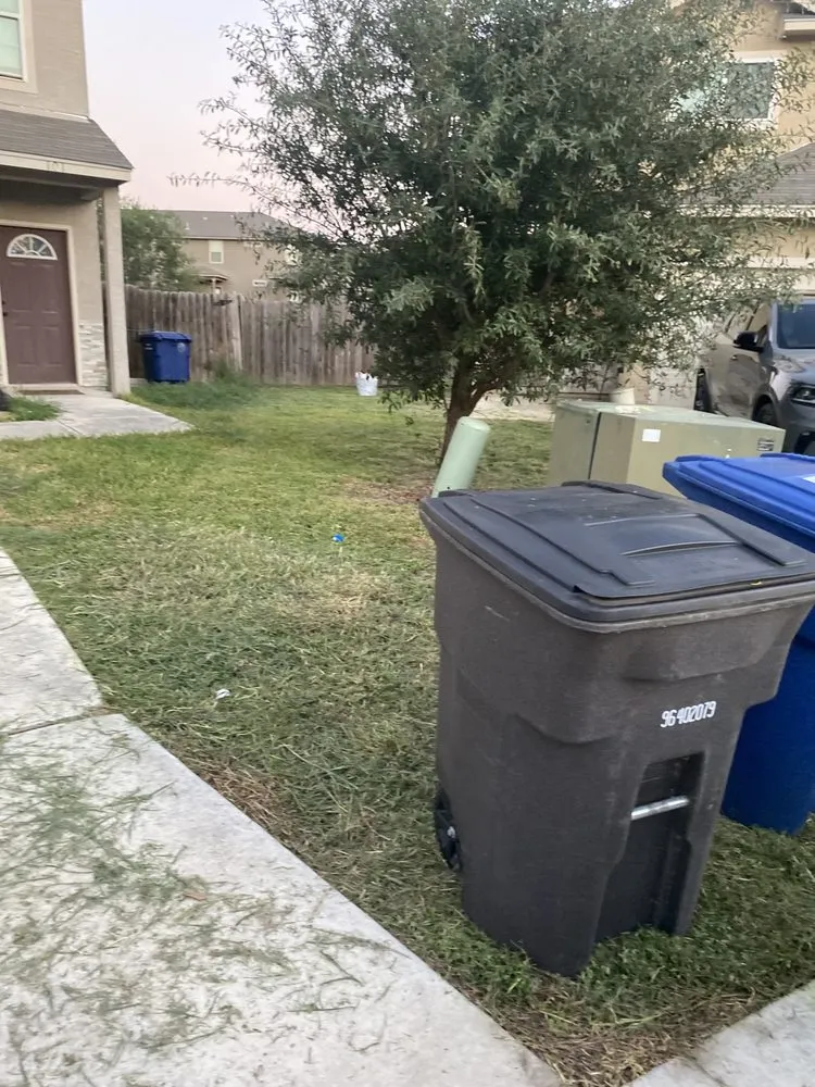 Local landscape design in San Antonio, TX by Alvizo Lawn & Landscaping