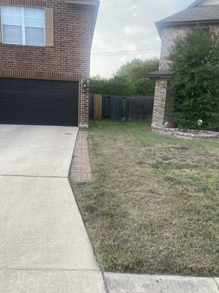 Expert outdoor landscaping experts serving San Antonio, TX - Alvizo Lawn & Landscaping