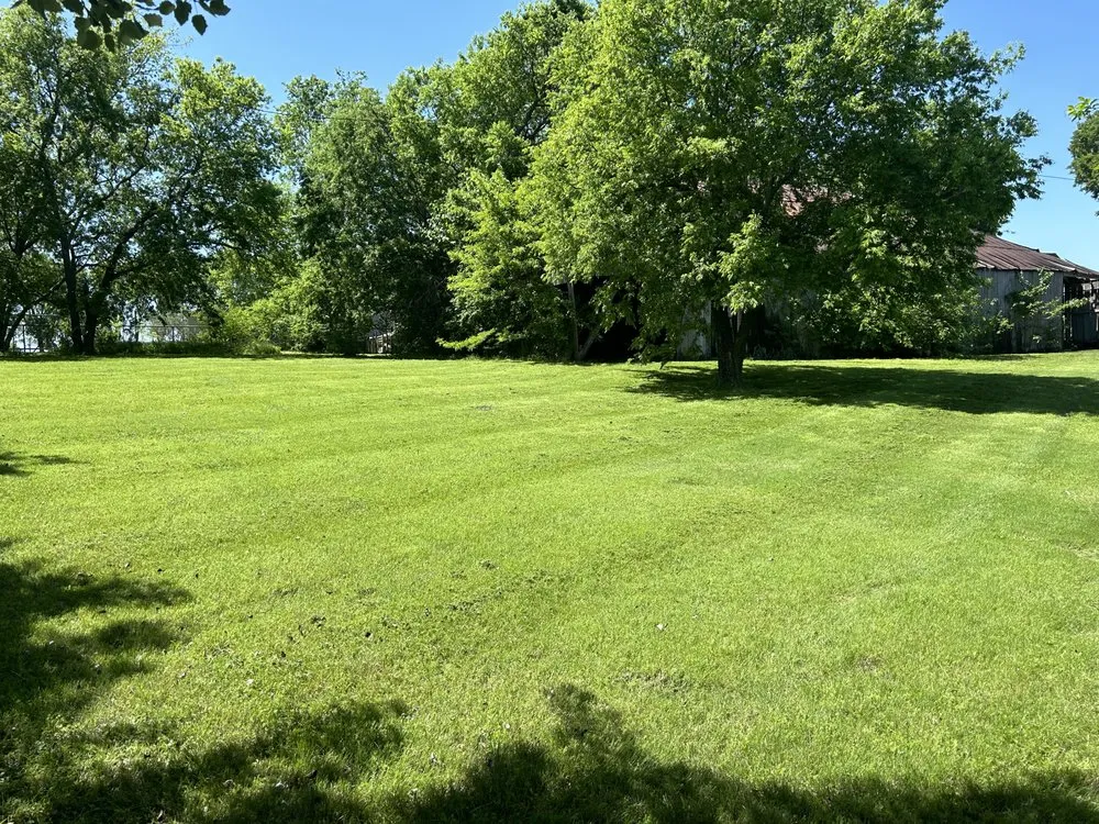 Affordable yard maintenance in Farmersville, TX by Alvizo Residential & Commercial Services