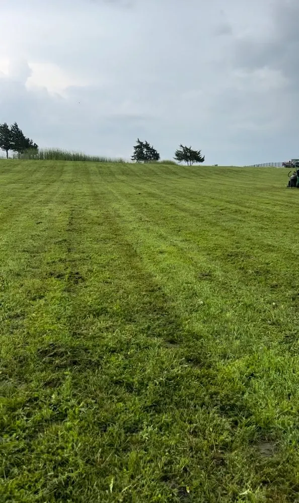 Affordable outdoor landscaping with custom design across Farmersville, TX - Alvizo Residential & Commercial Services