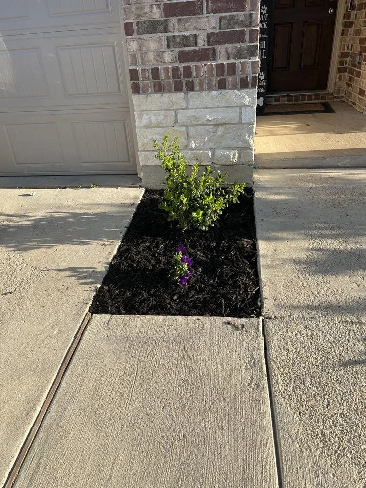 Trusted lawn care service in Farmersville, TX by Alvizo Residential & Commercial Services