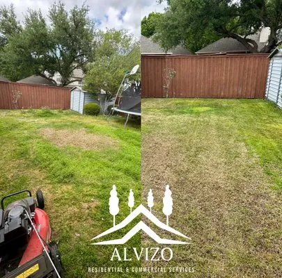 Alvizo Residential & Commercial Services