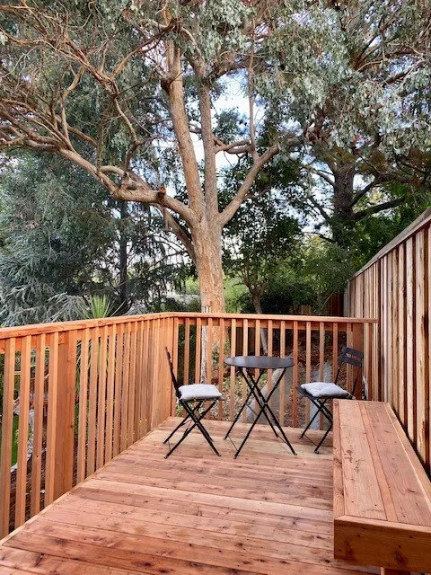 Expert yard cleanup service in Oakley, CA - Alvo Landscape