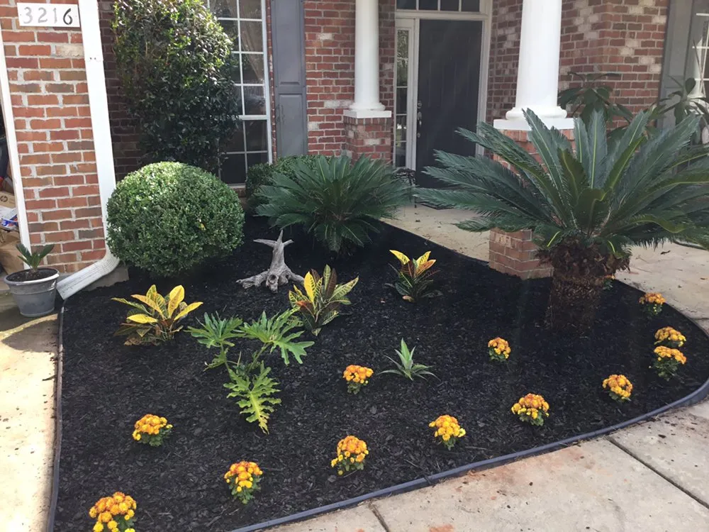 Top-rated lawn mowing service experts serving Foley, AL - Always Amazing