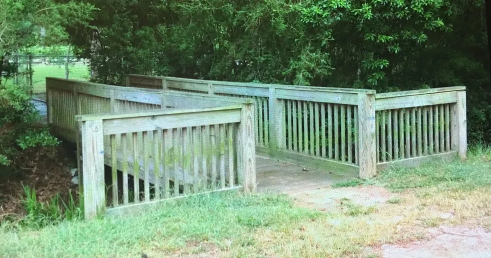 Professional yard cleanup service experts serving Foley, AL - Always Amazing