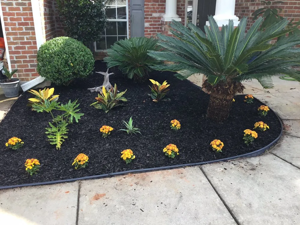 Top-rated residential landscaping in Foley, AL - Always Amazing