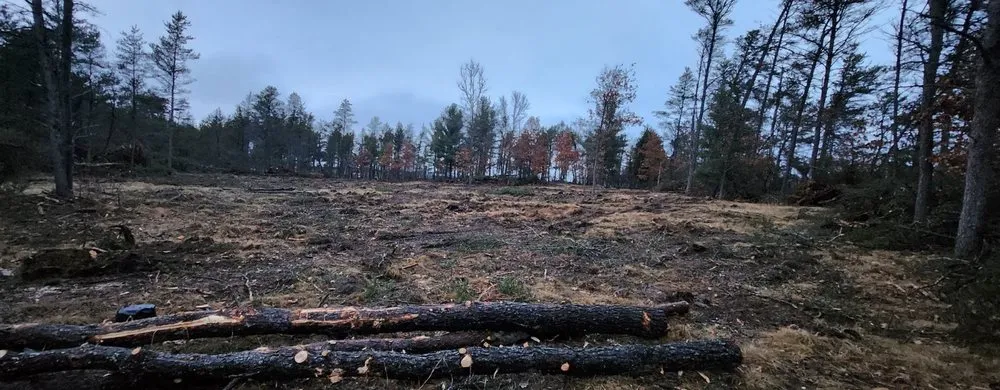 Local garden landscaping experts serving West Branch, MI - Always Available Contracting