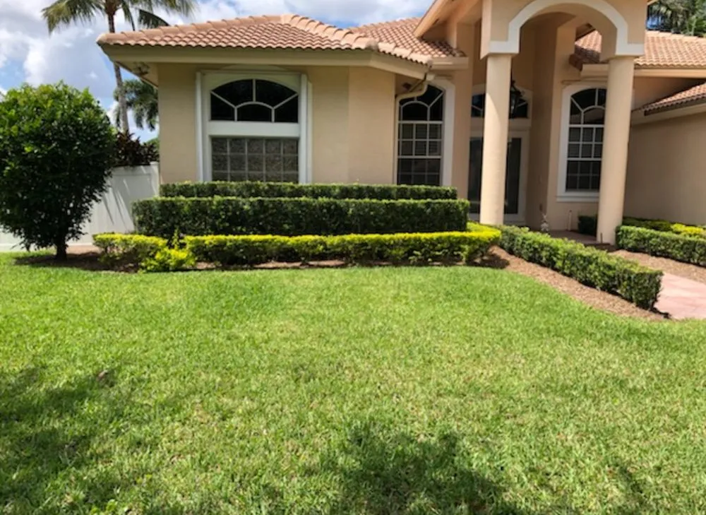 Custom outdoor landscaping in Hollywood, FL by Always Available Lawn Care