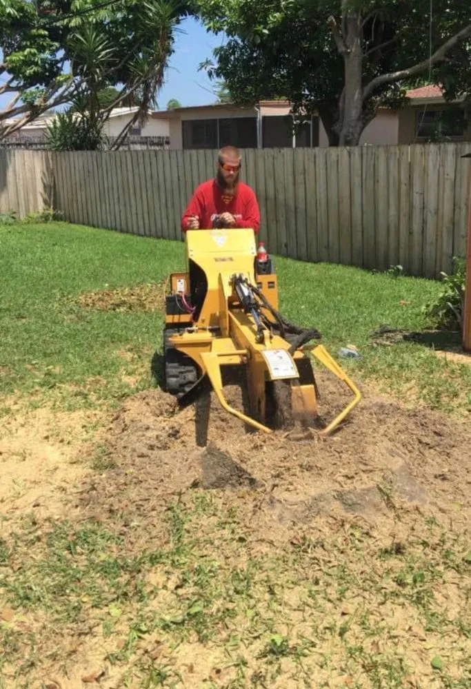 Top-rated outdoor landscaping in Hollywood, FL - Always Available Lawn Care