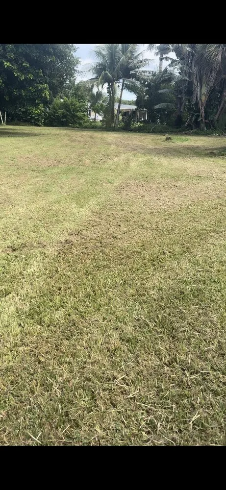 Affordable lawn care service in Hollywood, FL by Always Available Lawn Care